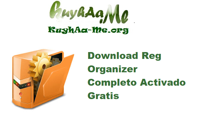 Download Reg Organizer 9.80 Completo Activado Gratis 