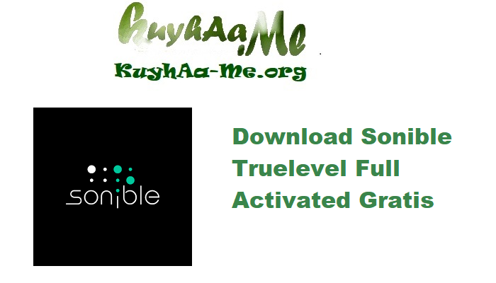 Download Sonible Truelevel 1.0.4 Full Activated Gratis 