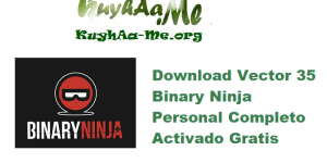 Download Vector 35 Binary Ninja 5.1.8005 Personal Completo Activado Gratis 