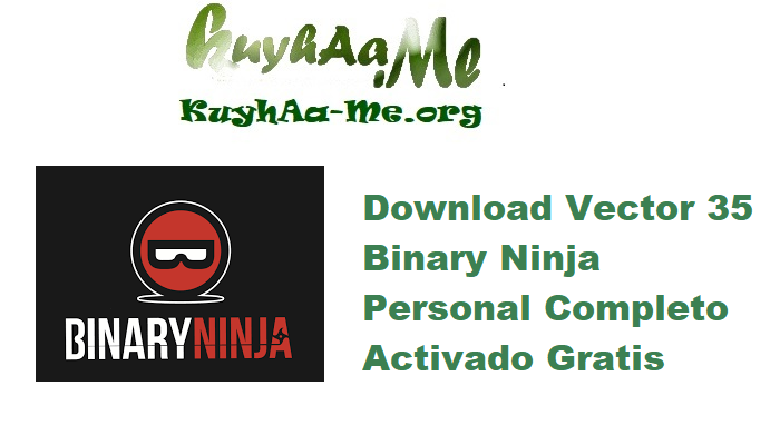 Download Vector 35 Binary Ninja 5.1.8005 Personal Completo Activado Gratis 
