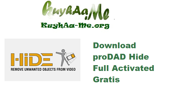 Download proDAD Hide 2.0.214.3 Full Activated Gratis  