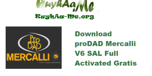 Download proDAD Mercalli V6 SAL 6.0.632.3 Full Activated Gratis 