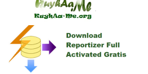Download Reportizer 6.5.10.395 Full Activated Gratis 