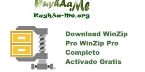 Download WinZip Pro WinZip Pro 29.0.16416 Completo Activado Gratis 