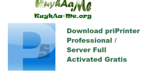 Download priPrinter Professional / Server 7.0.0.2608 Full Actvated Gratis 