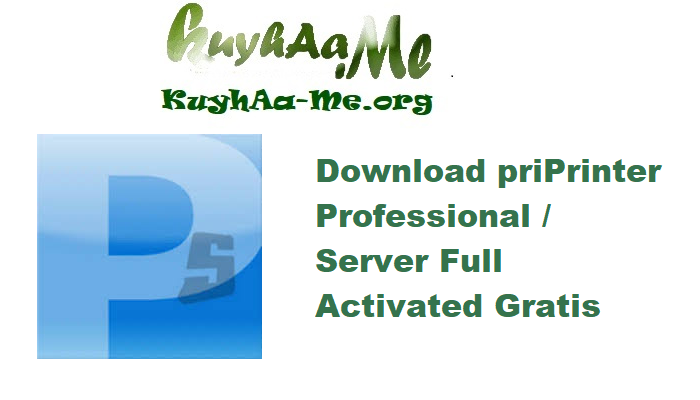 Download priPrinter Professional / Server 7.0.0.2608 Full Actvated Gratis 